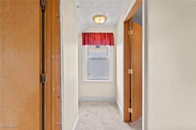 2021 17th St NE, Canton, OH 44705 - corridor with carpet floors, baseboards, and a textured ceiling