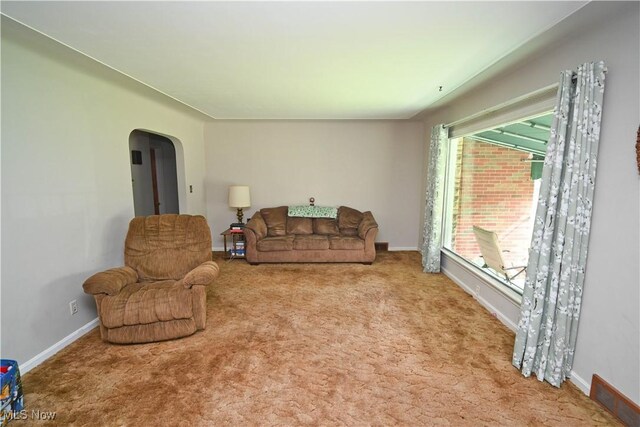252 Rosemont Ave, Youngstown, OH 44515 - carpeted living room featuring arched walkways and baseboards