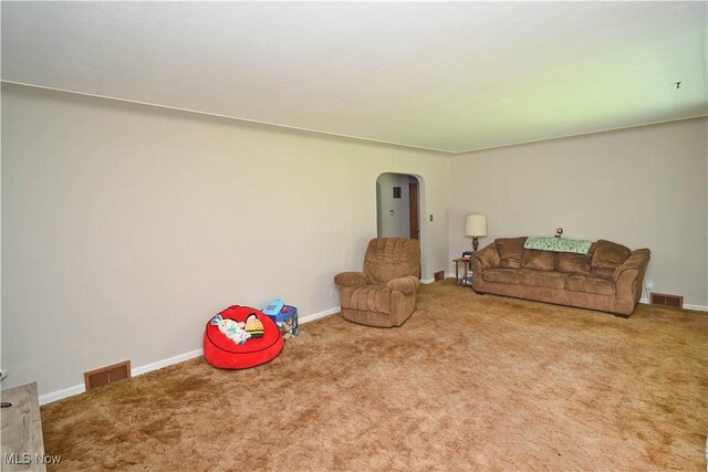 252 Rosemont Ave, Youngstown, OH 44515 - carpeted living area with arched walkways and baseboards