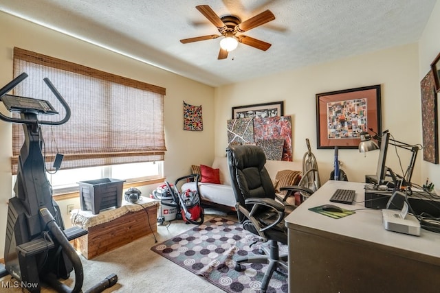 75 River Ridge Lane, Munroe Falls, OH 44262 - carpeted office featuring a ceiling fan and a textured ceiling