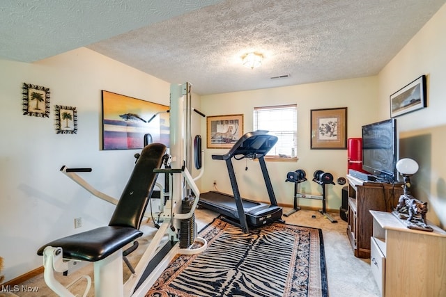 75 River Ridge Lane, Munroe Falls, OH 44262 - workout area featuring baseboards, light colored carpet, and a textured ceiling