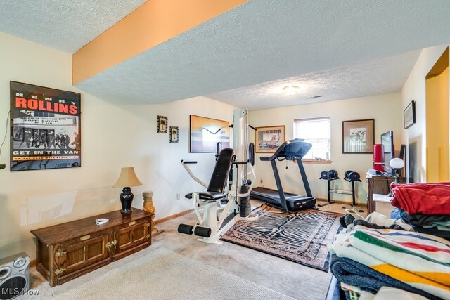 75 River Ridge Lane, Munroe Falls, OH 44262 - workout room with a textured ceiling, carpet floors, and baseboards