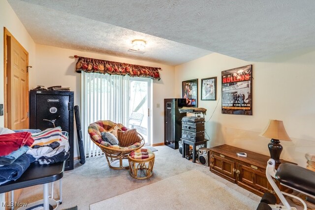 75 River Ridge Lane, Munroe Falls, OH 44262 - carpeted living room with a textured ceiling and baseboards