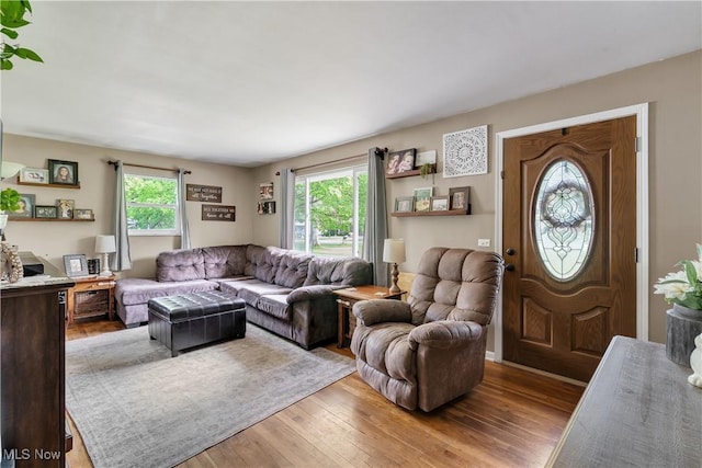 living area featuring plenty of natural light and hardwood / wood-style floors