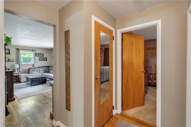 hallway featuring wood finished floors