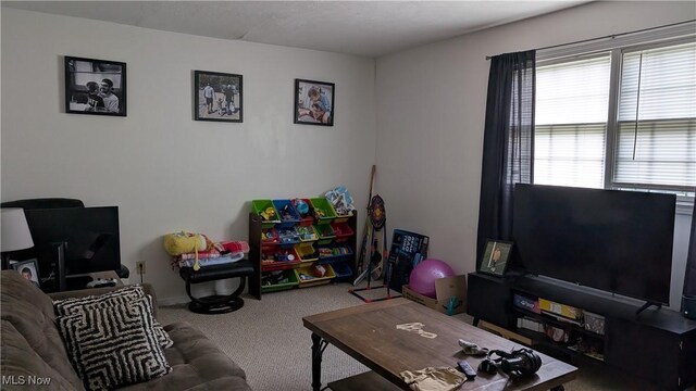 33-37 Alaska Ave, Chester, WV 26034 - living area featuring carpet