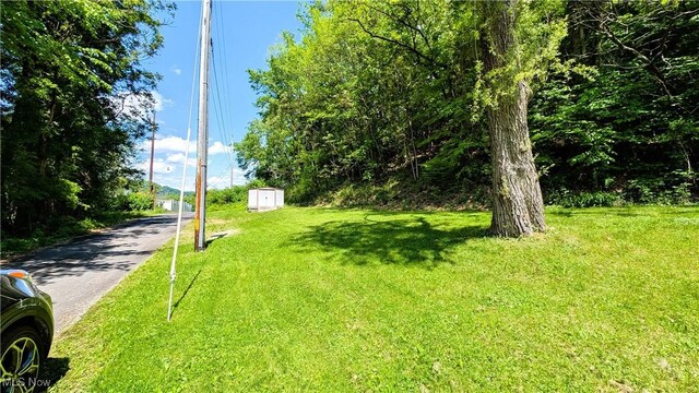 33-37 Alaska Ave, Chester, WV 26034 - view of green lawn featuring a shed, an outdoor structure, and driveway