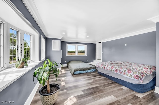 6395 Easton St NE, Louisville, OH 44641 - bedroom with crown molding, multiple windows, wood finished floors, and recessed lighting