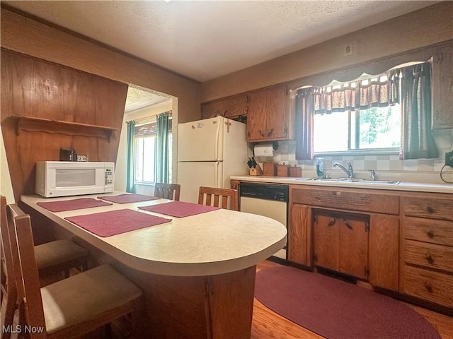 1010 Park Cir, Girard, OH 44420 - kitchen featuring a sink, white appliances, light countertops, plenty of natural light, and a textured ceiling