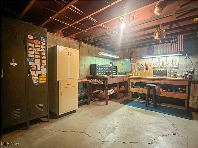 1010 Park Cir, Girard, OH 44420 - unfinished basement featuring a workshop area