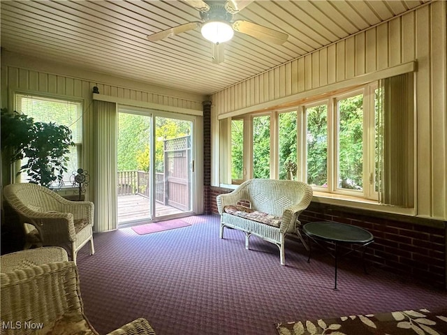 1010 Park Cir, Girard, OH 44420 - sunroom / solarium with carpet