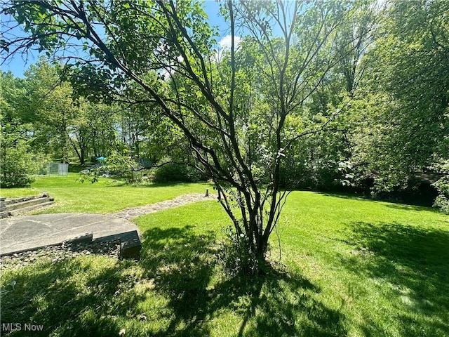 1010 Park Cir, Girard, OH 44420 - view of green lawn