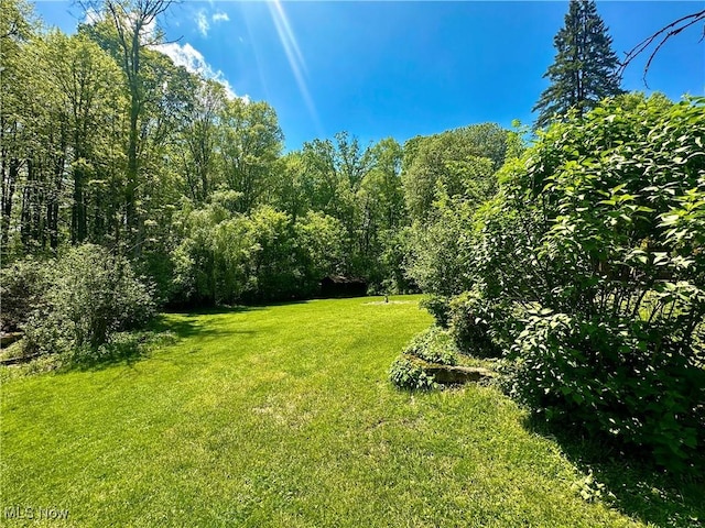 1010 Park Cir, Girard, OH 44420 - view of grassy yard