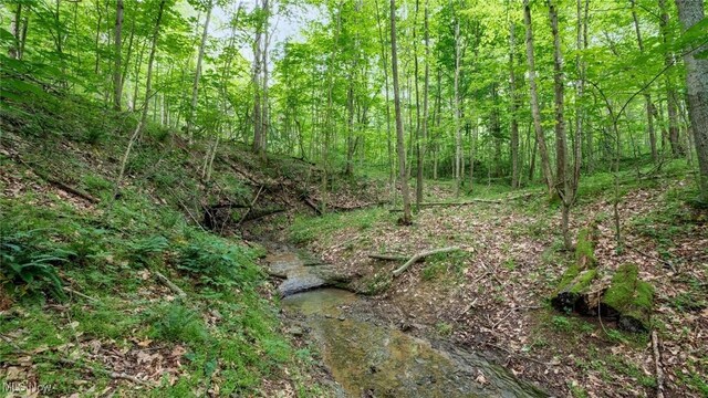 55 N Big Oak Rd NW, Malta, OH 43758 - photo 5