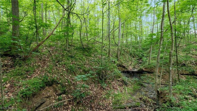 55 N Big Oak Rd NW, Malta, OH 43758 - photo 6