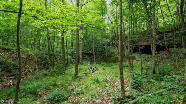 55 N Big Oak Rd NW, Malta, OH 43758 - photo 7