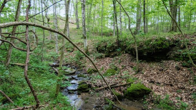 55 N Big Oak Rd NW, Malta, OH 43758 - photo 17