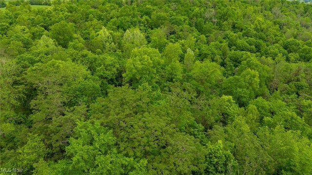 55 N Big Oak Rd NW, Malta, OH 43758 - photo 37