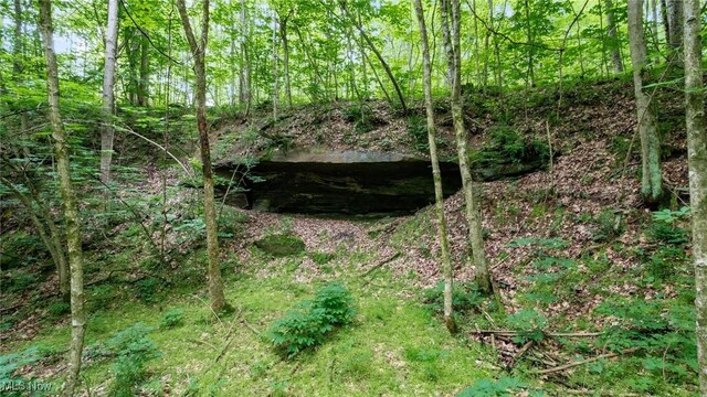55 N Big Oak Rd NW, Malta, OH 43758 - photo 8