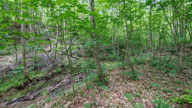 55 N Big Oak Rd NW, Malta, OH 43758 - photo 11