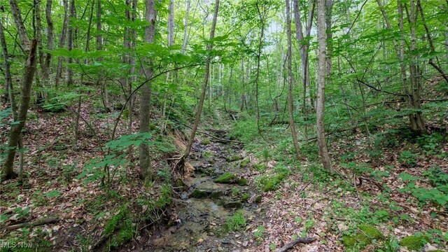 55 N Big Oak Rd NW, Malta, OH 43758 - photo 13