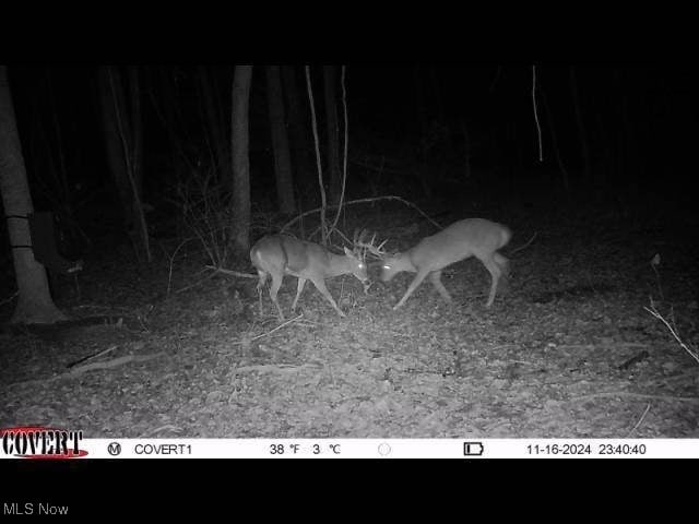 55 N Big Oak Rd NW, Malta, OH 43758 - photo 43