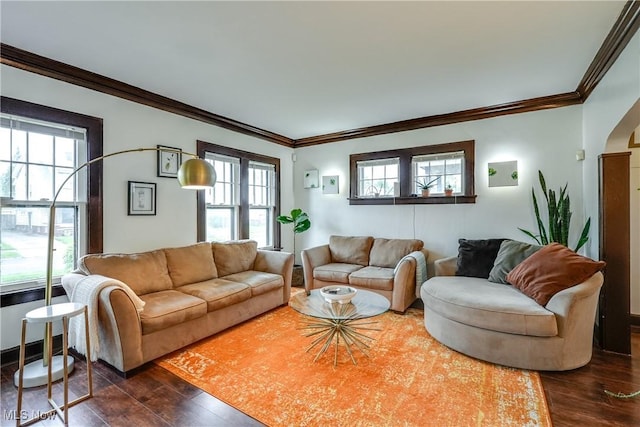 living area featuring dark wood-style flooring, healthy amount of natural light, and ornamental molding