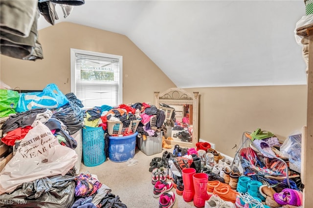 21407 Libby Rd, Maple Heights, OH 44137 - bonus room with vaulted ceiling and carpet floors