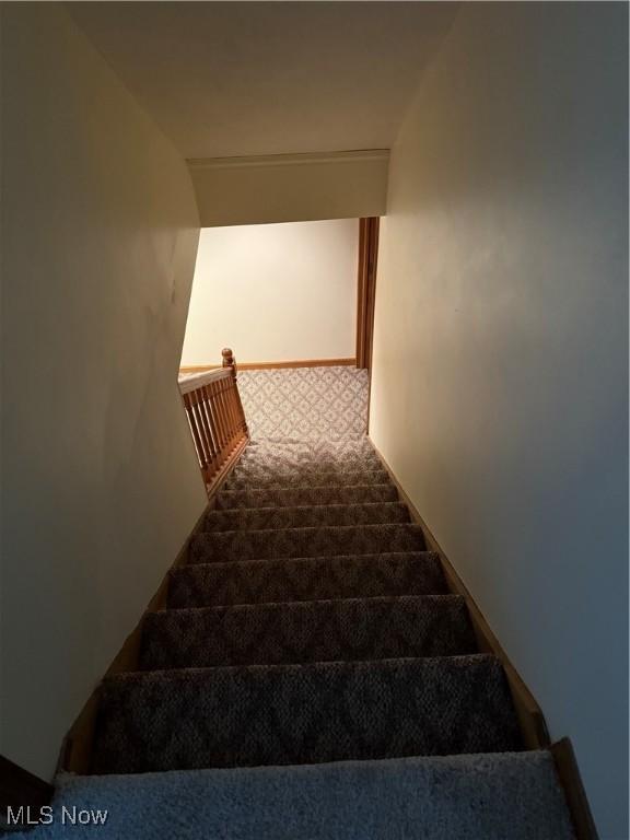 stairway featuring carpet