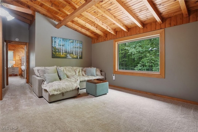 1354 N Pricetown Rd, Diamond, OH 44412 - carpeted living room featuring wooden ceiling, a ceiling fan, and baseboards