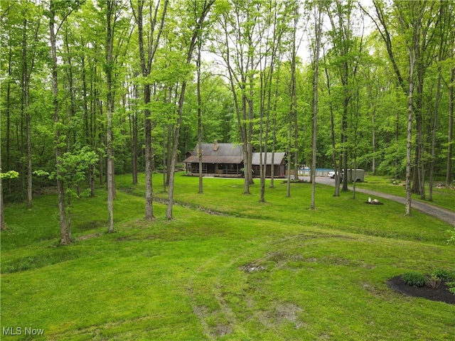 1354 N Pricetown Rd, Diamond, OH 44412 - view of green lawn featuring asphalt driveway and a view of trees