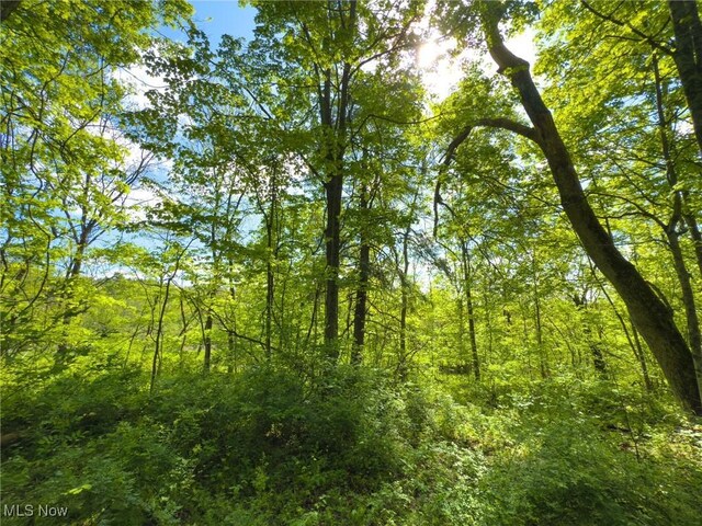 0 Morganville Rd, Malta, OH 43758 - photo 17