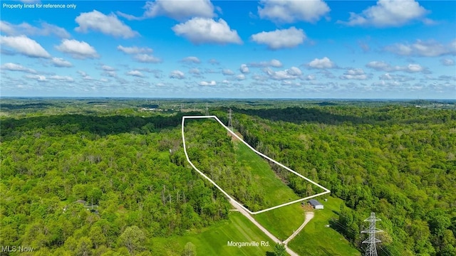 0 Morganville Rd, Malta, OH 43758 - photo 1