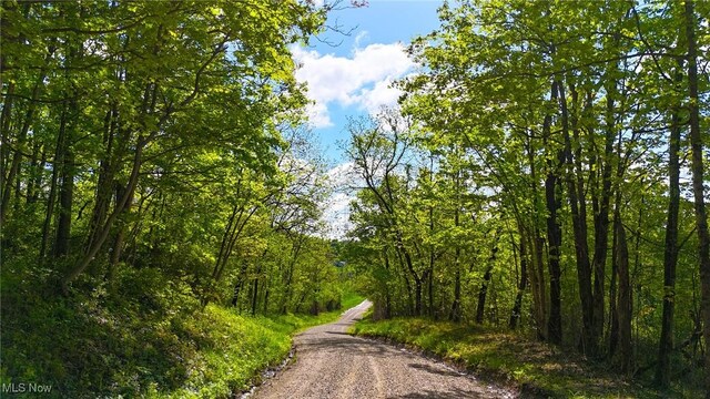 0 Morganville Rd, Malta, OH 43758 - photo 5