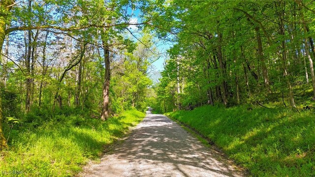 0 Morganville Rd, Malta, OH 43758 - photo 13