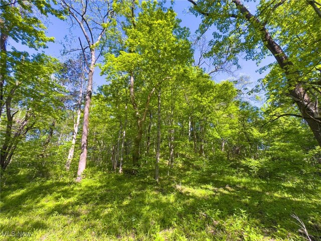 0 Morganville Rd, Malta, OH 43758 - photo 14