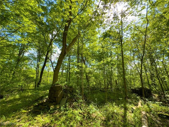 0 Morganville Rd, Malta, OH 43758 - photo 16