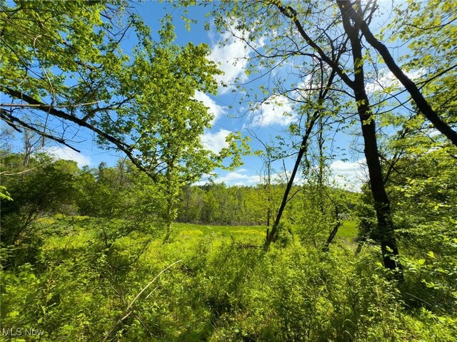 0 Morganville Rd, Malta, OH 43758 - photo 18