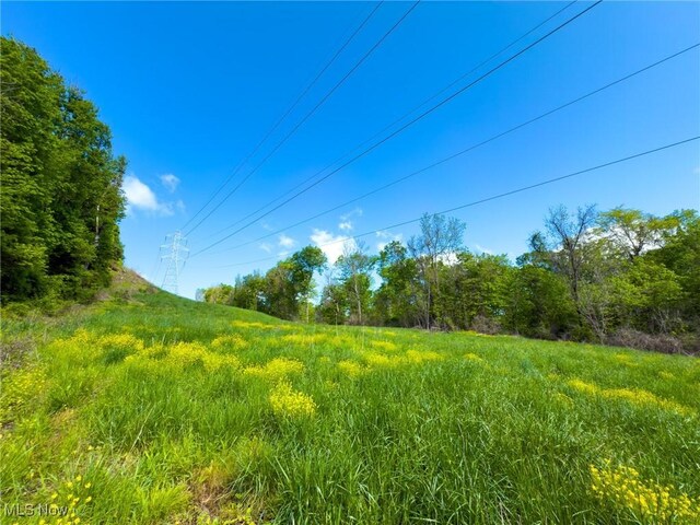0 Morganville Rd, Malta, OH 43758 - photo 19
