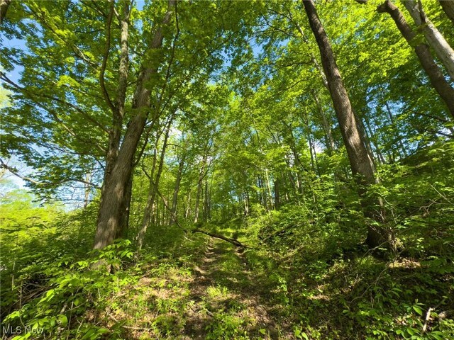 0 Morganville Rd, Malta, OH 43758 - photo 21