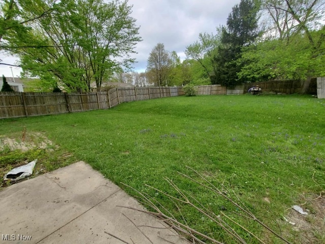 7417 Broadview Rd, Seven Hills, OH 44131 - view of yard
