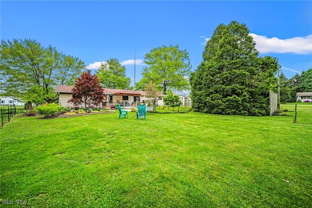view of yard
