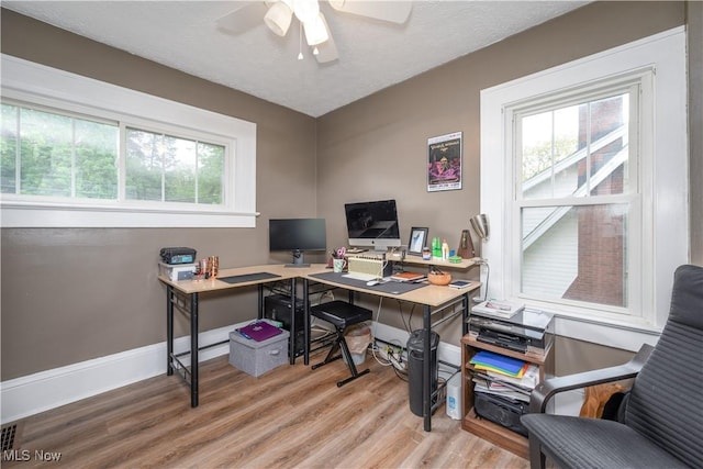 2534 6th St, Cuyahoga Falls, OH 44221 - home office featuring light wood-style flooring, ceiling fan, and baseboards