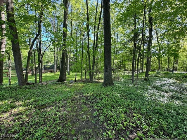 724 Wyleswood Dr, Berea, OH 44017 - photo 28