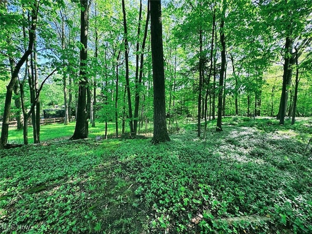 724 Wyleswood Dr, Berea, OH 44017 - photo 29