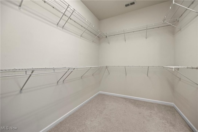 walk in closet with light colored carpet