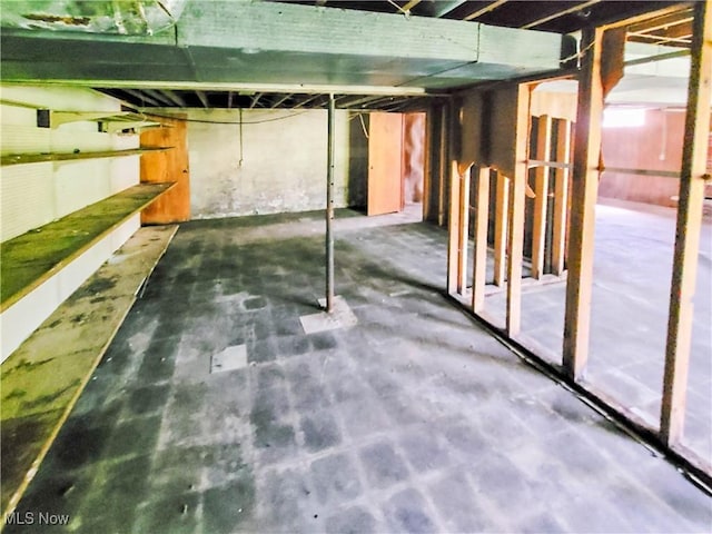 16251 State Route 678, Rockbridge, OH 43149 - view of below grade area