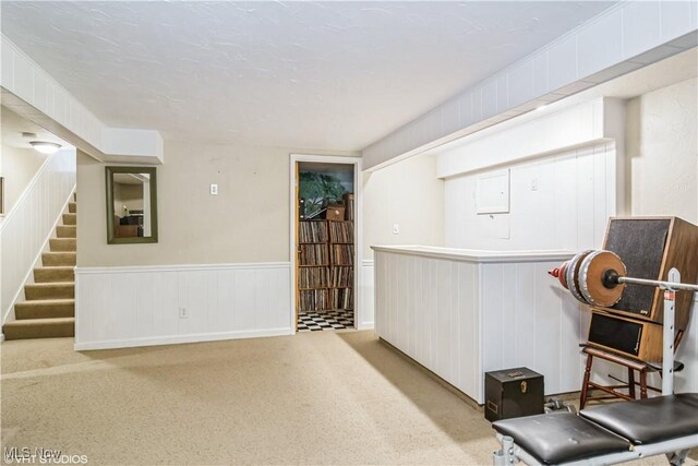 37 Monticello Dr, Brunswick, OH 44212 - exercise area featuring carpet floors and a wainscoted wall
