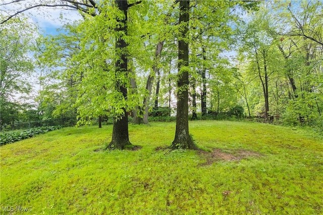 view of yard