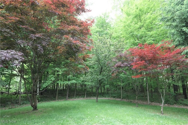 6191 Root Rd, Spencer, OH 44275 - view of grassy yard featuring a forest view